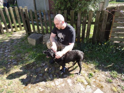 29.04.2019 - Proteza dla Reksia